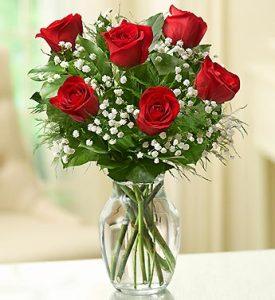 Love's Embrace Roses – SHARON'S FLOWERS, Lafayette IN