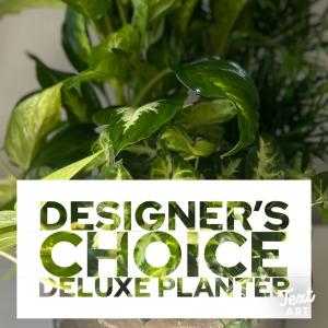 Deluxe Planter Designer's Choice – SHARON'S FLOWERS, Lafayette IN