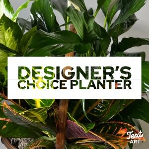 Planter Designer's Choice – SHARON'S FLOWERS, Lafayette IN