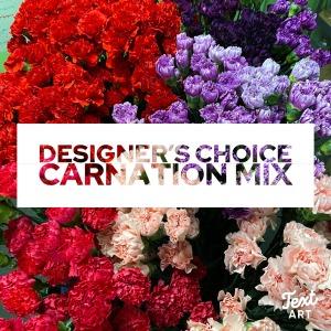 Carnation Mix Designer's Choice – SHARON'S FLOWERS, Lafayette IN