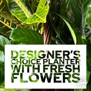 Planter Designer's Choice with Fresh Flowers – SHARON'S FLOWERS, Lafayette IN