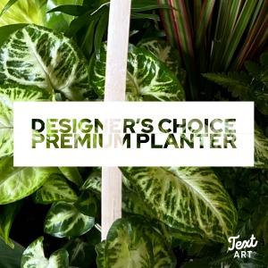 Premium Designer's Choice Planter – SHARON'S FLOWERS, Lafayette IN