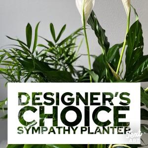 Sympathy Planter Designer's Choice – SHARON'S FLOWERS, Lafayette IN