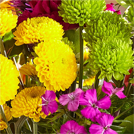 Bold & Bright – A Florist Original – SHARON'S FLOWERS, Lafayette IN