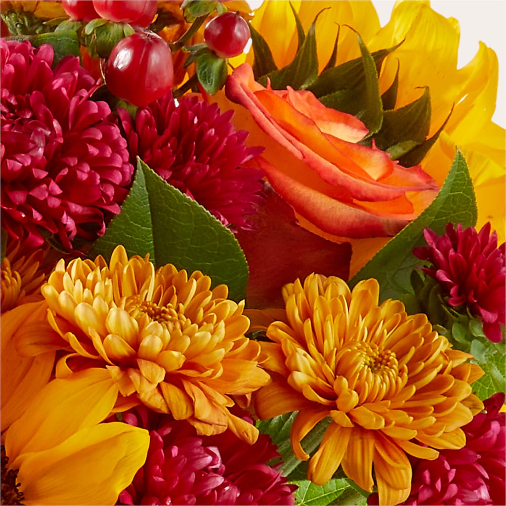 Sweater Season - A Florist Original – SHARON'S FLOWERS, Lafayette IN