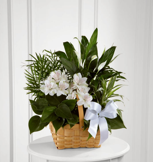 Peace & Serenity Planter – SHARON'S FLOWERS, Lafayette IN