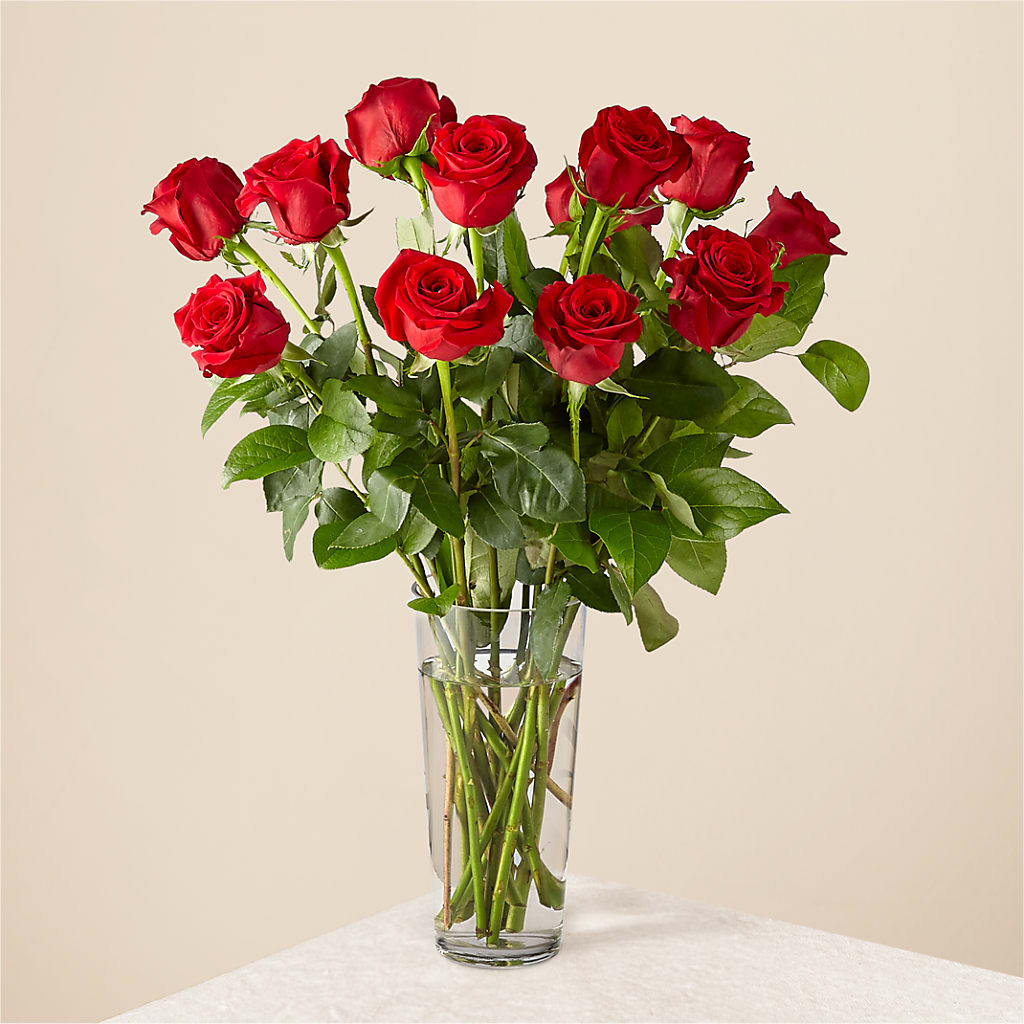 Long Stem Red Rose Bouquet – SHARON'S FLOWERS, Lafayette IN