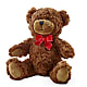 Adorable Plush Bear – SHARON'S FLOWERS, Lafayette IN