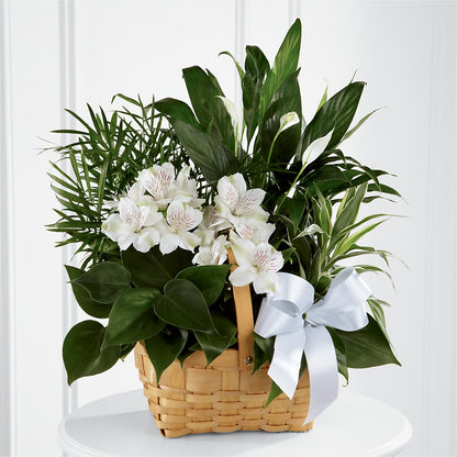 Peace & Serenity Planter