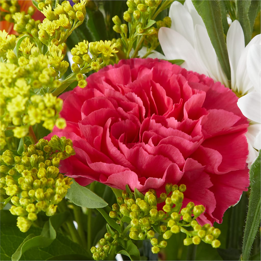 Oopsie Daisy Bouquet – SHARON'S FLOWERS, Lafayette IN