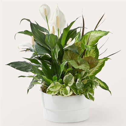 Florist Designed Planter