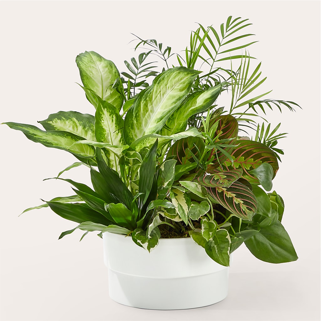Florist Designed Planter