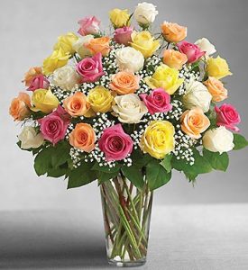 Ultimate Elegance Premium Long Stem Assorted Roses