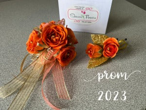 PROM28